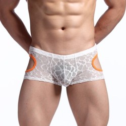 comfortale lace transparent boxer shorts underwear